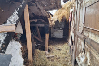 Dach stodoły runął pod naporem śniegu. W środku były zwierzęta