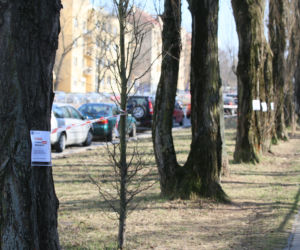 Wielkie zmiany obok domu Kaczyńskiego. Ludzie są wściekli 