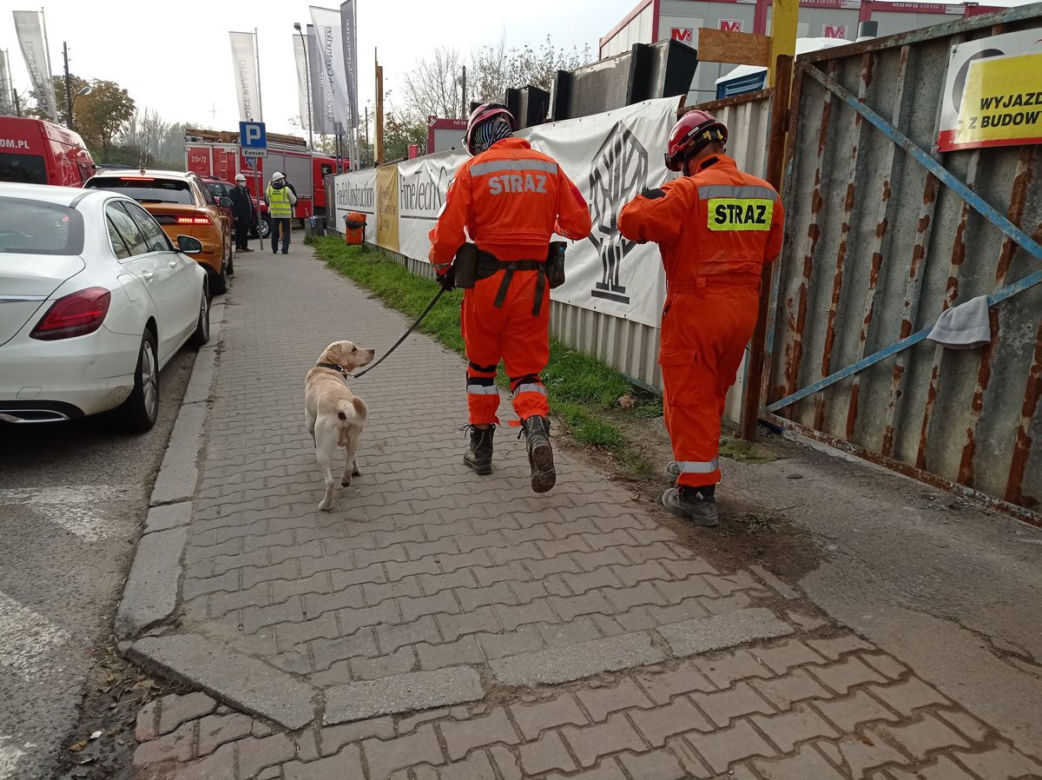 Runęła kamienica przy Wrzesińskiej. Akcja strażaków i psów 