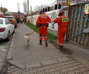 Runęła kamienica przy Wrzesińskiej. Akcja strażaków i psów 