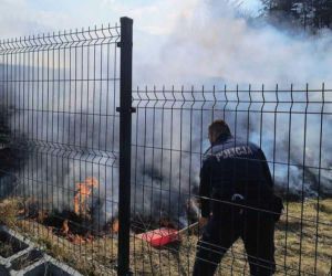 Ktoś podpalił łąkę w Bieszczadach