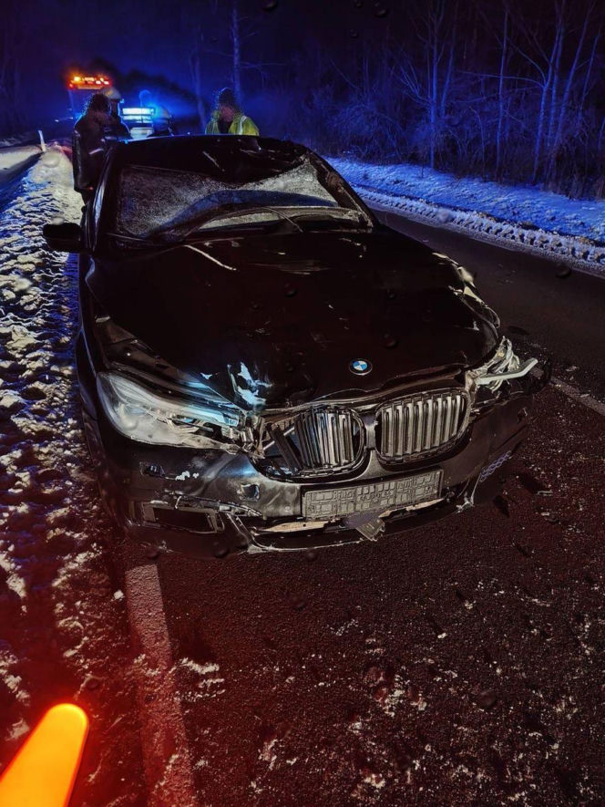 Powiat siedlecki: zderzenie auta osobowego z łosiem w Kolonii Mordy