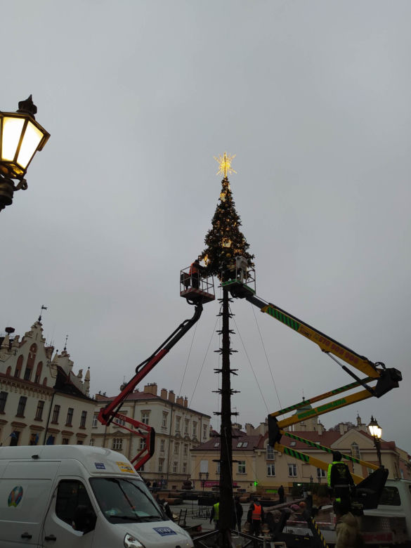 Montaż świątecznej choinki na Rynku w Rzeszowie