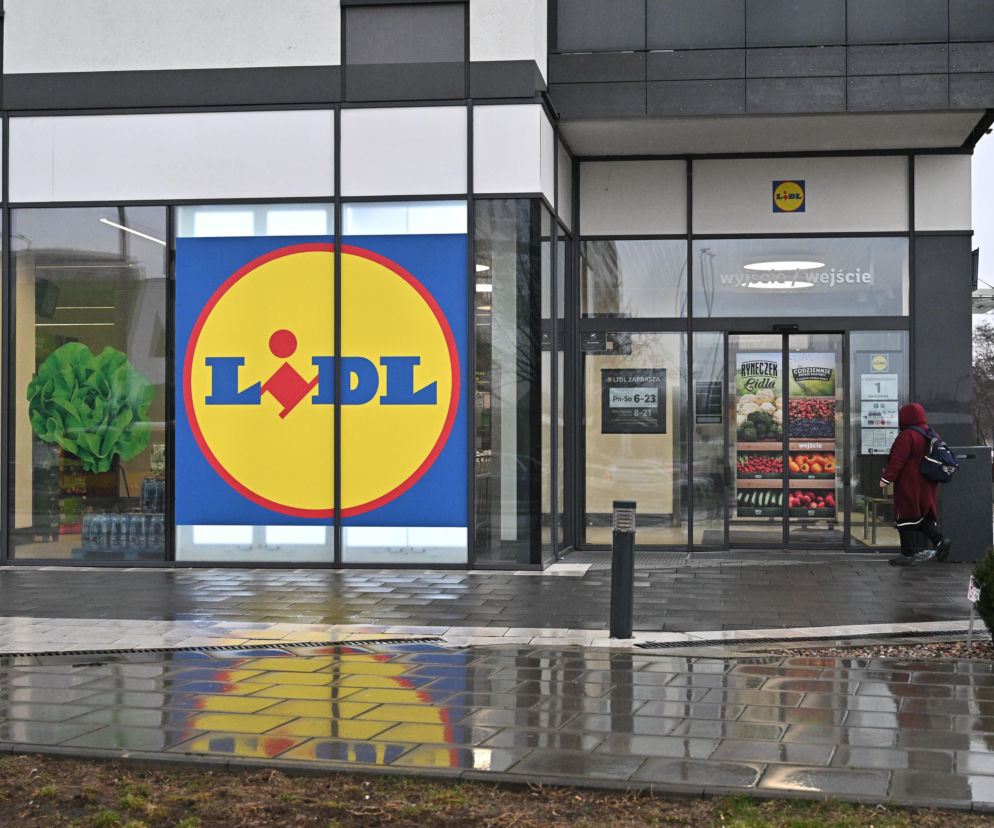 Mała gmina przyciągnęła giganta. Wiemy, gdzie Lidl zbuduje swój nowy magazyn w Polsce