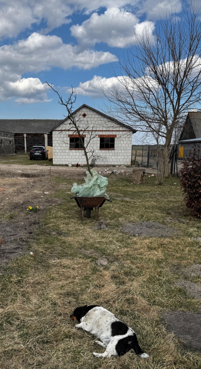 Odbudowa domu w Wyrykach Woli pod Włodawą