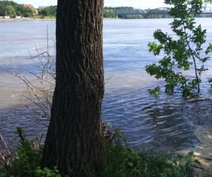 Jak wygląda sytuacja powodziowa w Toruniu?