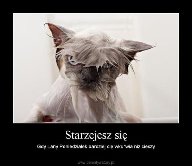 Lany Poniedziałek demotywatory