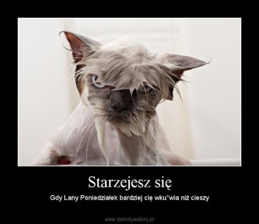 Lany Poniedziałek demotywatory
