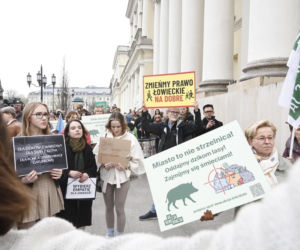 Warszawa. Protest w obronie dzików