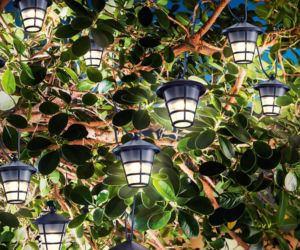 Wybieramy lampy solarne