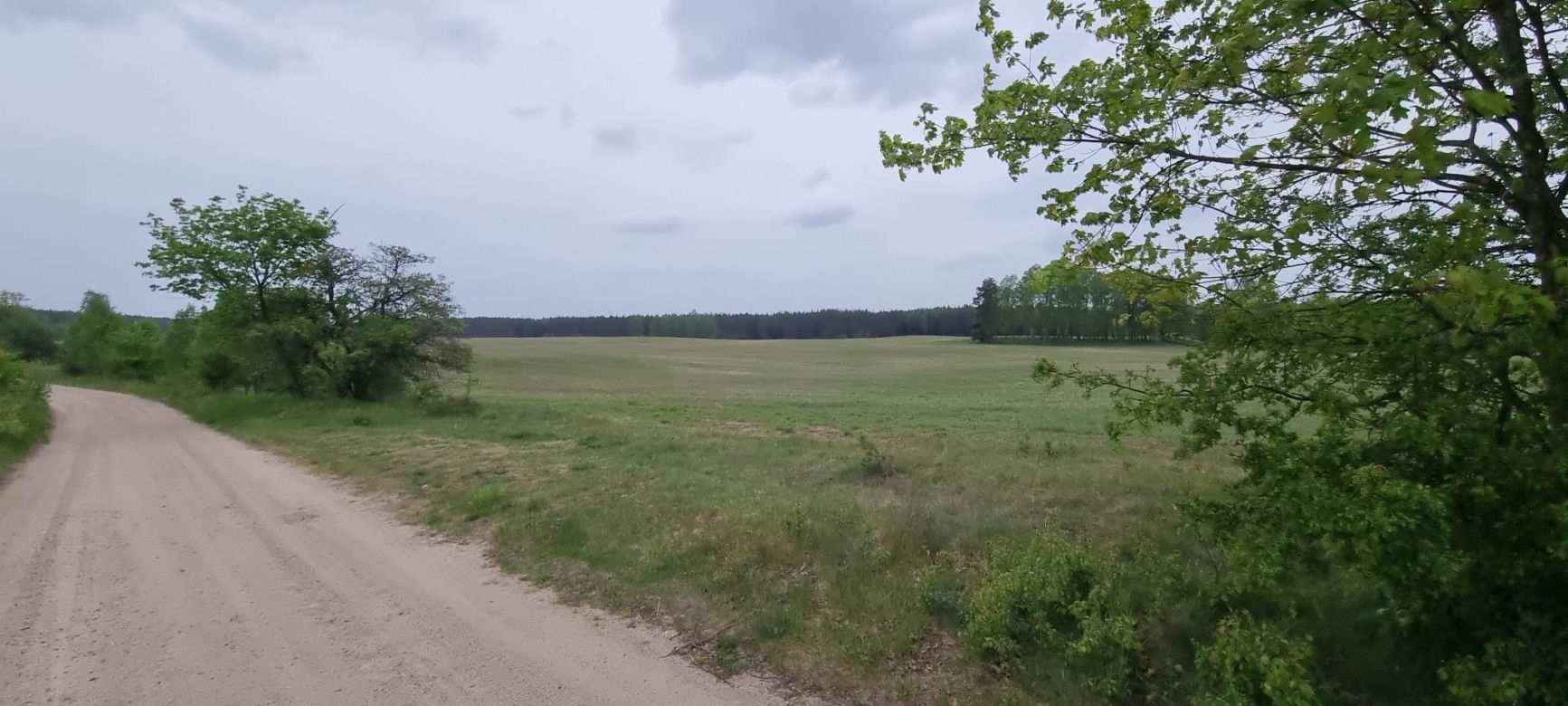 Balon spadł na pole pod Białym Borem