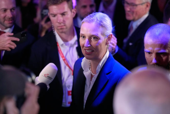 Polityczne trzęsienie ziemi w Niemczech. Triumf AfD w wyborach