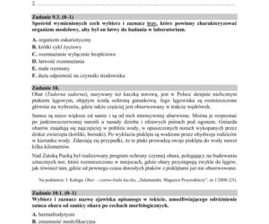 Matura 2020 ARKUSZE CKE z biologii POZIOM ROZSZERZONY 