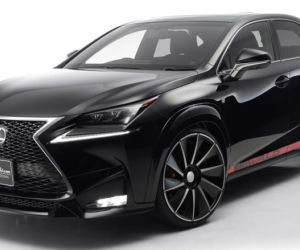 Lexus NX by Wald International