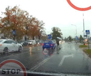 Ominął auto i prawie rozjechał pieszego. Szok na pasach we Wrocławiu! [WIDEO]