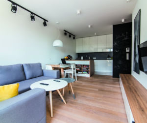 Salon z kuchnią