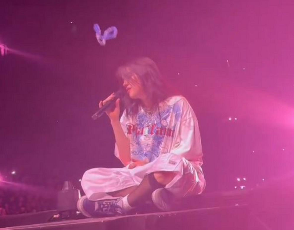 Billie Eilish dostała w twarz na koncercie! Film obiega internet