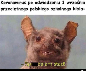 Memy o szkole 2020. Nauka u dobie koronawirusa. Żarty z nowej sytuacji 