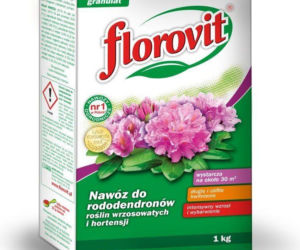 Nawozy do rododendronów
