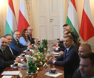 Spotkanie premiera Węgier z prezydentem Karolem Nawrockim