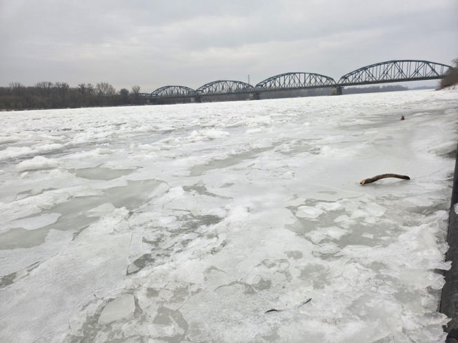 Wisła stanęła pod lodem. Zimowy spektakl w Starym Fordonie zachwyca, ale i ostrzega