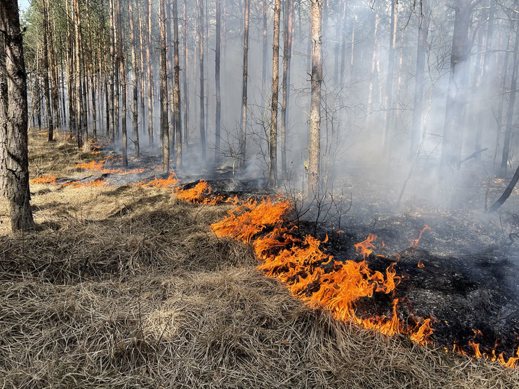  Wielki pożar pod Warszawą. Brakuje sił i środków