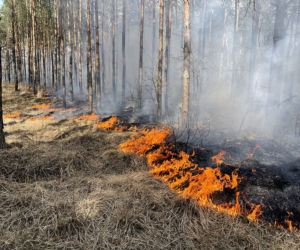  Wielki pożar pod Warszawą. Brakuje sił i środków
