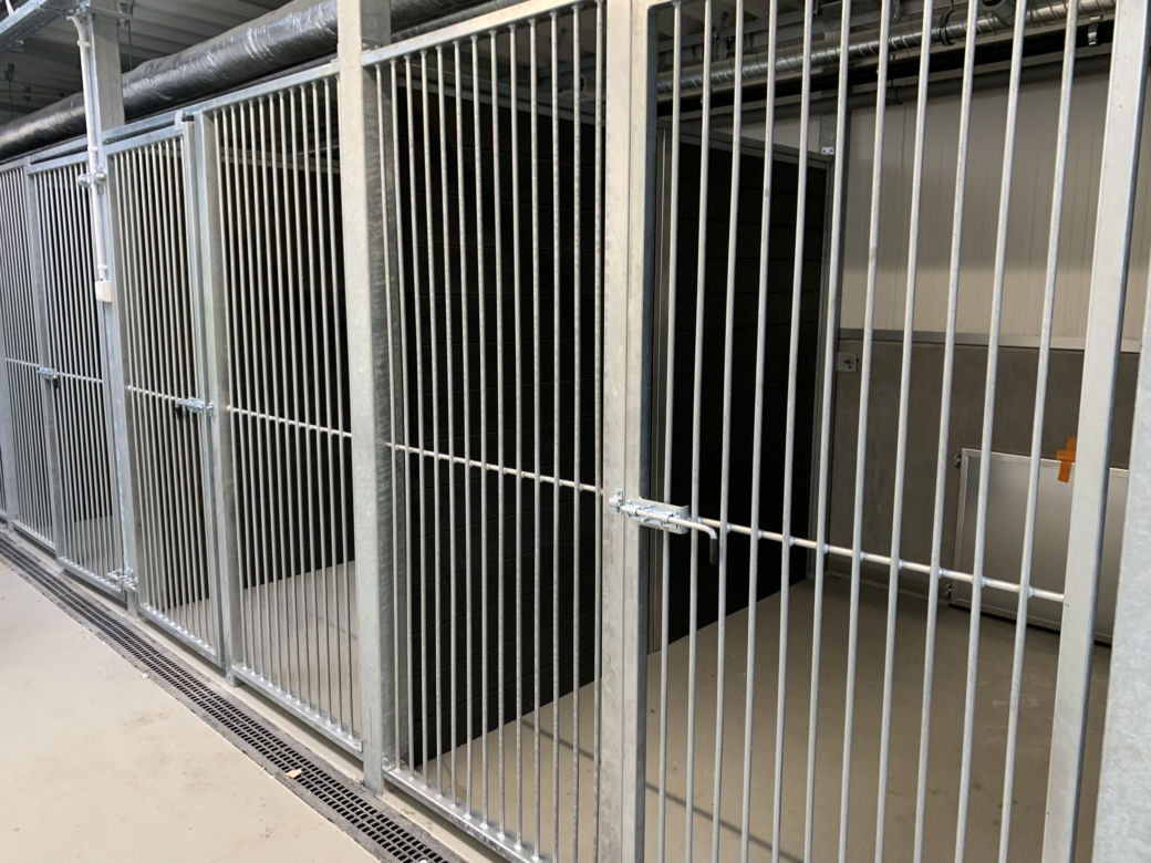 Budowa schroniska przy ul. Kobylepole w Poznaniu (kwiecień 2021)