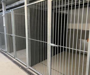 Budowa schroniska przy ul. Kobylepole w Poznaniu (kwiecień 2021)