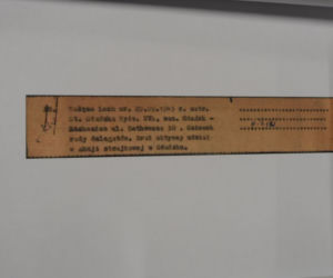 TECZKA TW BOLEK.