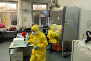 Koronawirus w Polsce 14 sierpnia. Nowe zakażenia i zgony
