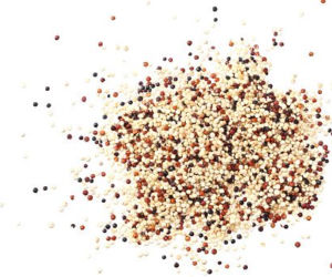 Komosa ryżowa (quinoa)