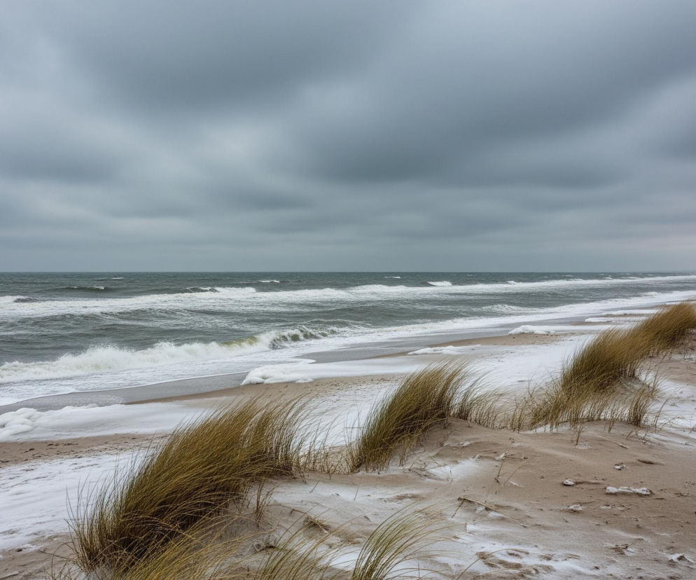Ponure, szare niebo z gęstymi chmurami dominuje górną część kadru, przechodząc w ciemniejsze odcienie na horyzoncie. Poniżej rozciąga się wzburzone morze w odcieniach zieleni i szarości, z białymi falami rozbijającymi się o piaszczystą plażę. Na brzegu widoczne są fragmenty śniegu i lodowej piany. Prawa strona plaży charakteryzuje się piaszczystymi wydmami częściowo pokrytymi śniegiem oraz kępami suchej, żółtawo-brązowej trawy, tworzącej rzędy równoległe do linii brzegowej. W oddali, na prawym horyzoncie, zarysowuje się ciemny, zadrzewiony obszar.
