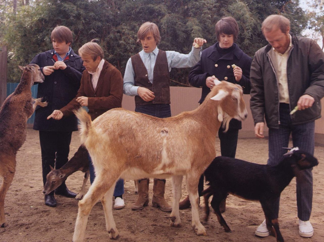 The Beach Boys - rok powstania 1961
