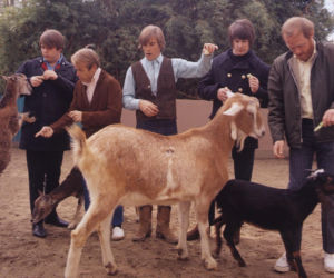 Album, który zmienił wszystko: „Pet Sounds” The Beach Boys kończy 60 lat