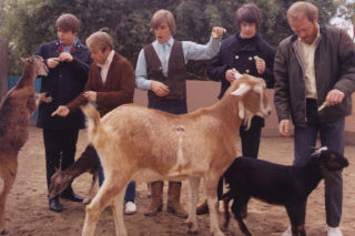 Album, który zmienił wszystko: „Pet Sounds” The Beach Boys kończy 60 lat