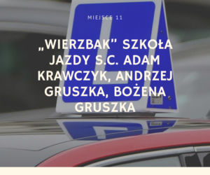 Najlepsze szkoły nauki jazdy w Poznaniu [TOP 20]
