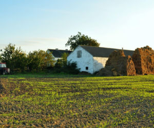 Ta maleńka miejscowość na Podlasiu właściwie przylega do granicy kraju. Skrywa dramatyczną historię!