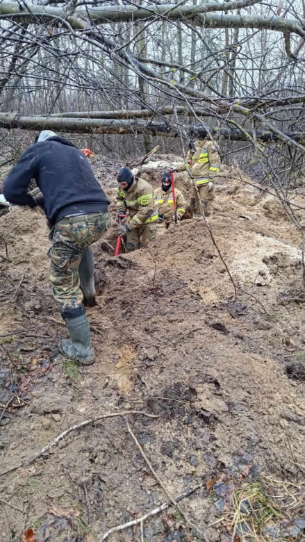 Lubelskie. Szczeniaki uwięzione w lisiej noże. Strażacy kopali w zmarzniętej ziemi przez 3 godziny