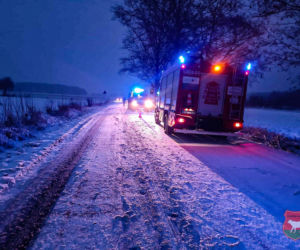 Auto uderzyło w drzewo