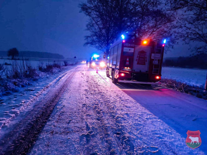 Auto uderzyło w drzewo