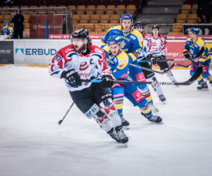 KH Energa Toruń - Tauron Podhale Nowy Targ 6:2, zdjęcia kibiców z Tor-Toru 