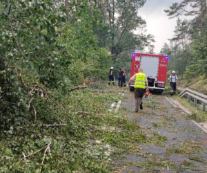 Niszczycielka nawałnica pod Świeciem! Przerażające zdjęcia