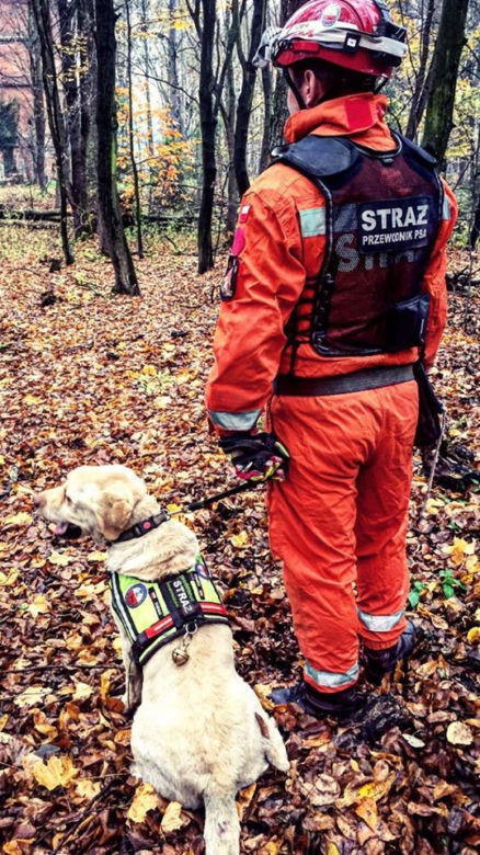 Jastrzębie-Zdrój: Od lat ratował ludzi i wspierał strażaków. Diego nie żyje