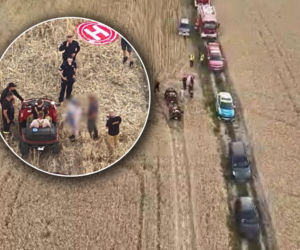 Rodzice przeżyli koszmar. 3,5-latek zaginął w lesie, ruszyła wielka akcja