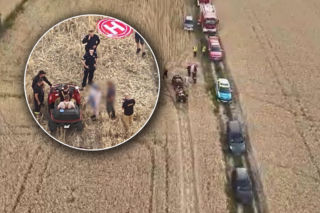 Dramatyczne poszukiwania 3,5-latka w lesie! Każda minuta była na wagę złota