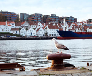 Nowe połączenie lotnicze z Warszawy. Pokochają je miłośnicy zimowych wypraw