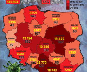 Koronawirus w Polsce. Statystyki, wykresy, grafiki (14 października)
