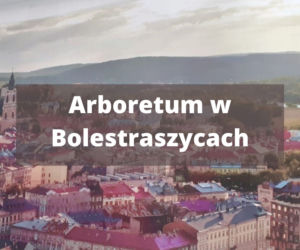 Majówka 2022: Gdzie na szybką wycieczkę z Przemyśla? Nasze propozycje