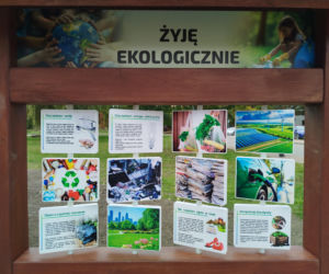 Park kieszonkowy przy ul. Żytniej w Siedlcach